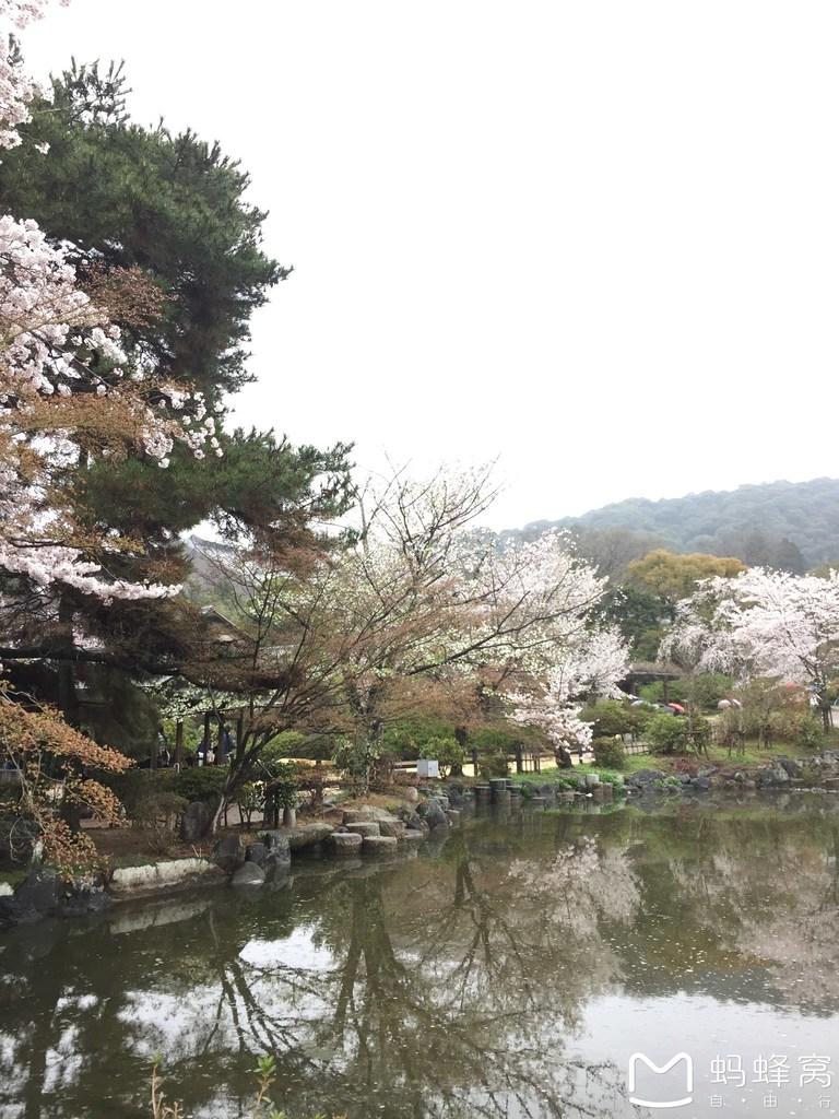 怎么從大阪到奈良 奈良大阪的櫻花開了嗎