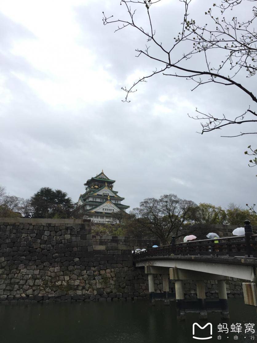 怎么從大阪到奈良 奈良大阪的櫻花開了嗎