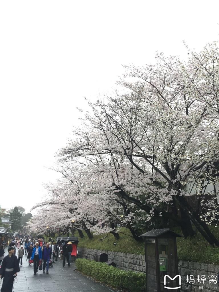 怎么從大阪到奈良 奈良大阪的櫻花開了嗎