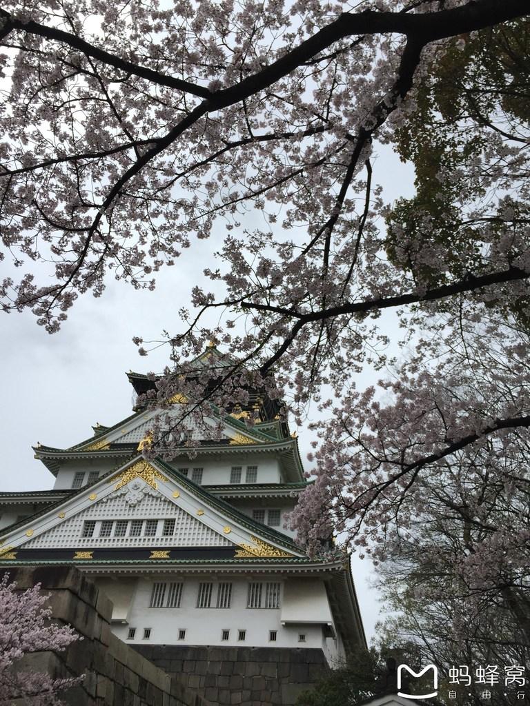 怎么從大阪到奈良 奈良大阪的櫻花開了嗎