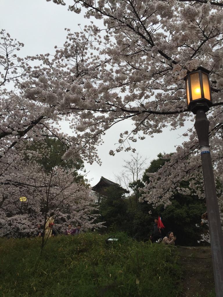 怎么從大阪到奈良 奈良大阪的櫻花開了嗎