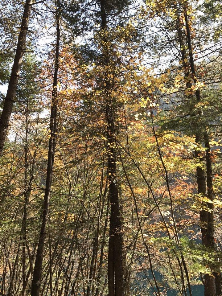 峨眉山有什么景點 峨眉山有什么好吃的