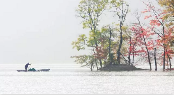 浦江通济湖好玩吗 浦江通济湖哪里拍照好