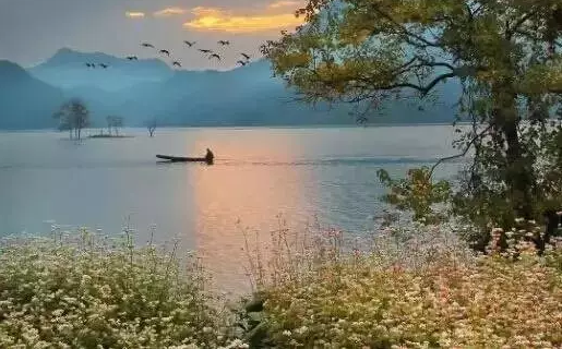 浦江通濟湖好玩嗎 浦江通濟湖哪里拍照好