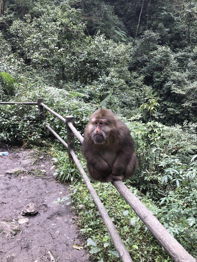 峨眉山有什么景點 峨眉山有什么好吃的