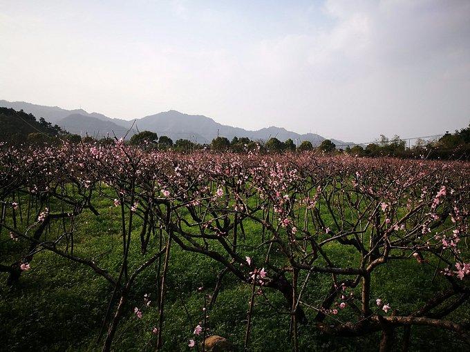 桐庐有哪些旅游景点 桐庐有哪些好玩的地方