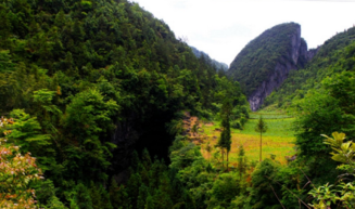 利川有什么好玩的地方 利川有哪些旅游景點