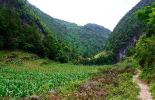 利川有什么好玩的地方 利川有哪些旅游景點