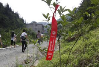 利川有什么好玩的地方 利川有哪些旅游景點