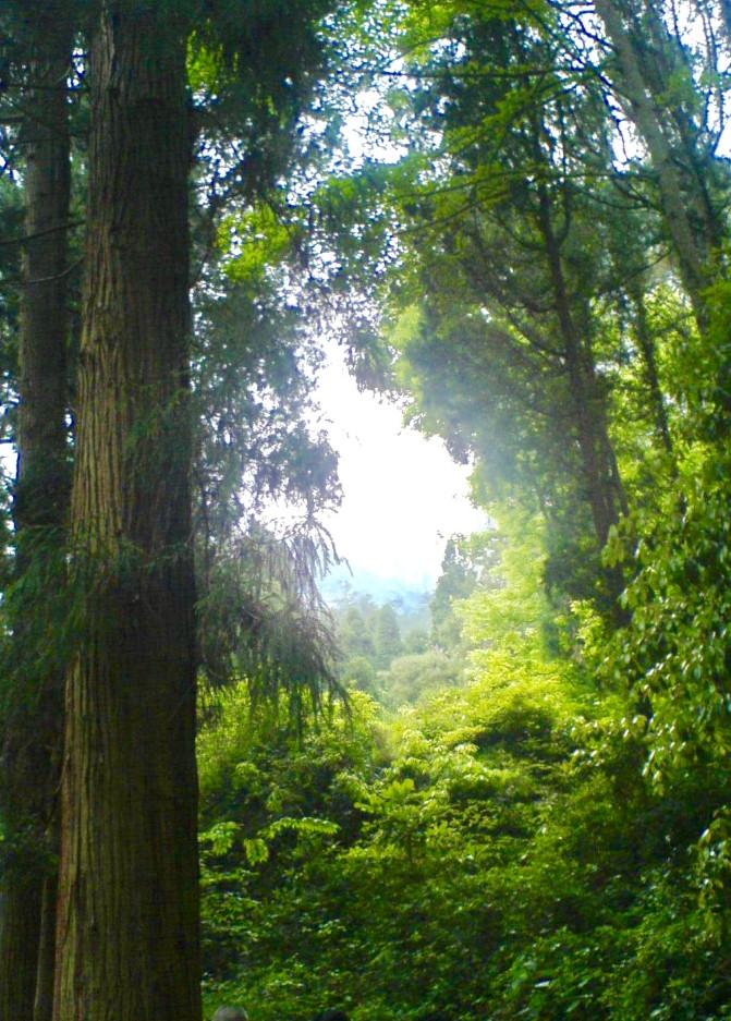 雁蕩山有哪些景點(diǎn) 雁蕩山有玻璃棧道嗎