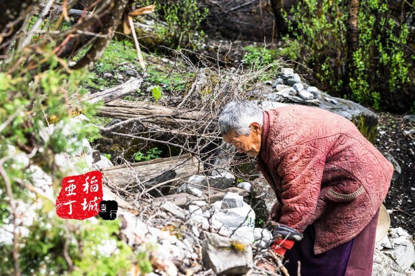 稻城亚丁有什么好玩的 稻城亚丁旅游攻略2017