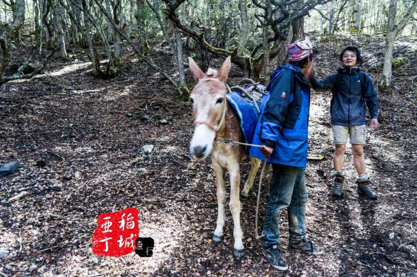 稻城亚丁有什么好玩的 稻城亚丁旅游攻略2017