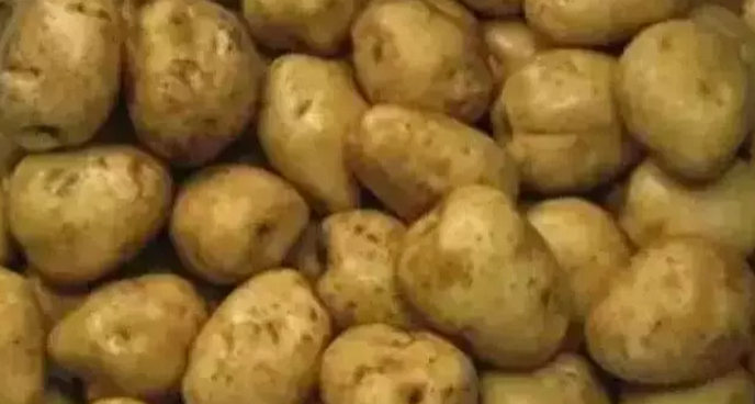 土豆有什么功效 土豆有什么特点