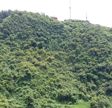 塘朗山在哪里 2017塘朗山郊野公园