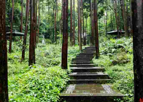 青山在哪兒  青山有什么好玩的