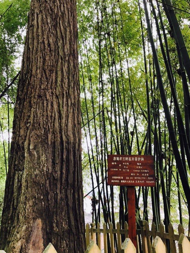 恩施有哪些旅游景點 恩施有什么好玩的