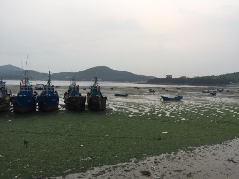 廣鹿島自助游攻略 廣鹿島旅游攻略2017