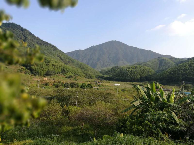 從化有什么旅游景點 從化有什么好玩的