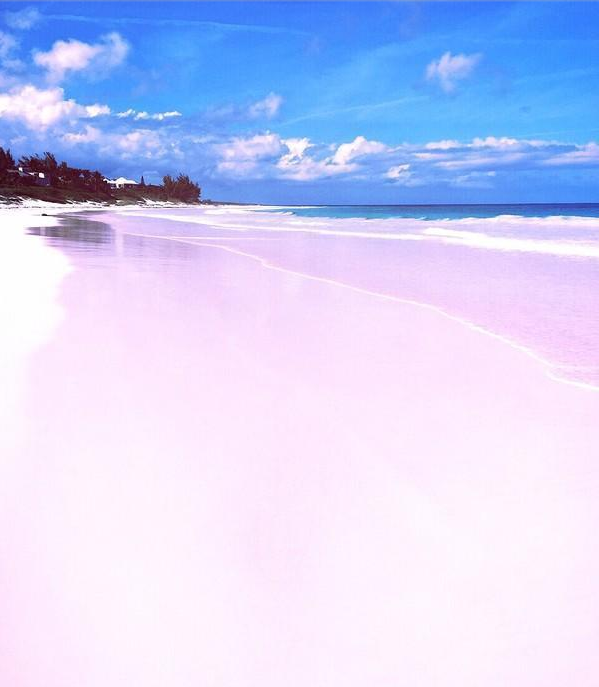 巴哈马粉色沙滩旅游 巴哈马粉色沙滩在哪里 巴哈马粉色沙滩怎么去
