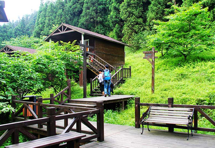 坪壩營原始森林公園在哪兒  坪壩營原始森林公園好玩嗎