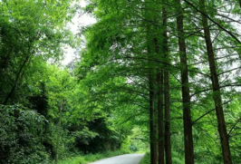 薤山國家森林公園門票是多少  薤山國家森林公園挪威小木屋