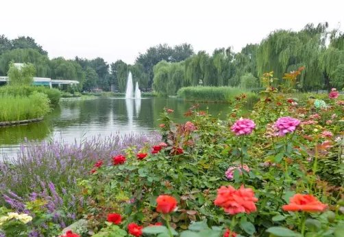 人定湖公園在哪兒  人定湖公園好玩嗎  