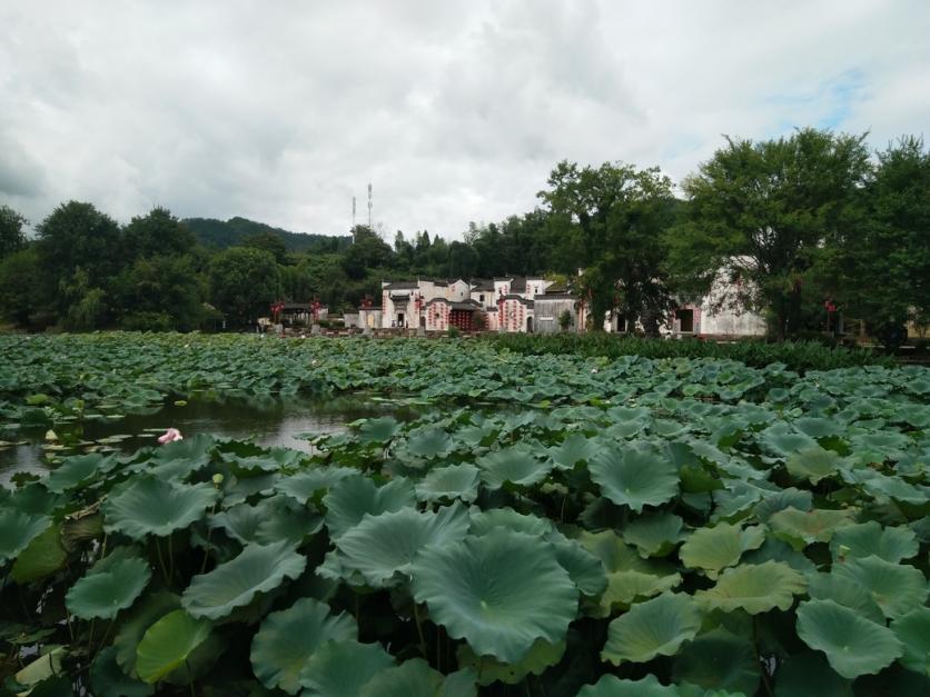 黃山呈坎古鎮(zhèn)門票價格多少錢