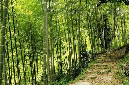 楠溪江哪个景点最好玩 楠溪江旅游攻略