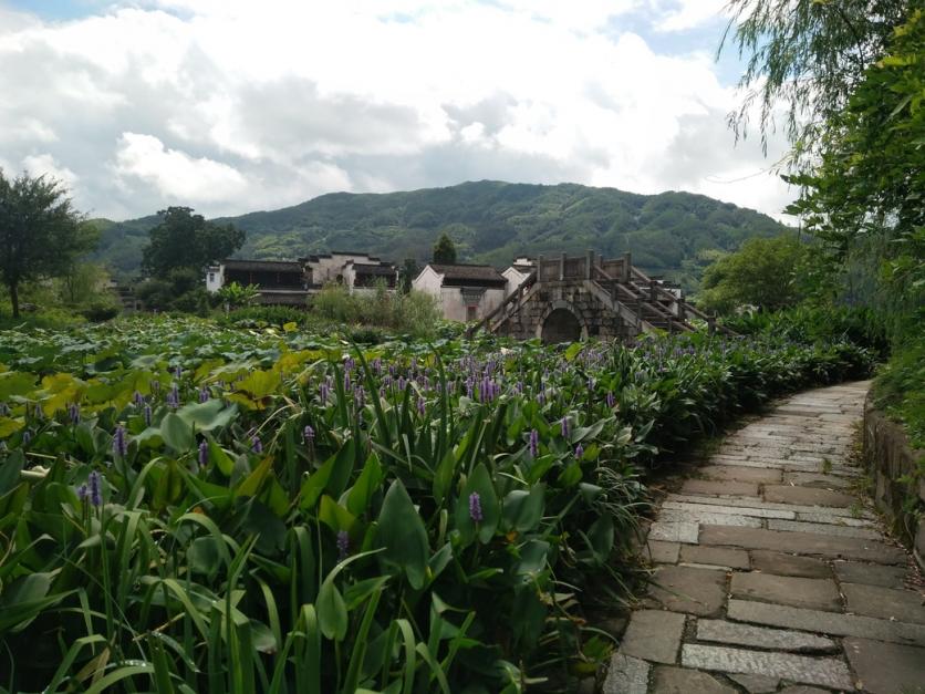 黃山呈坎古鎮(zhèn)門票價格多少錢