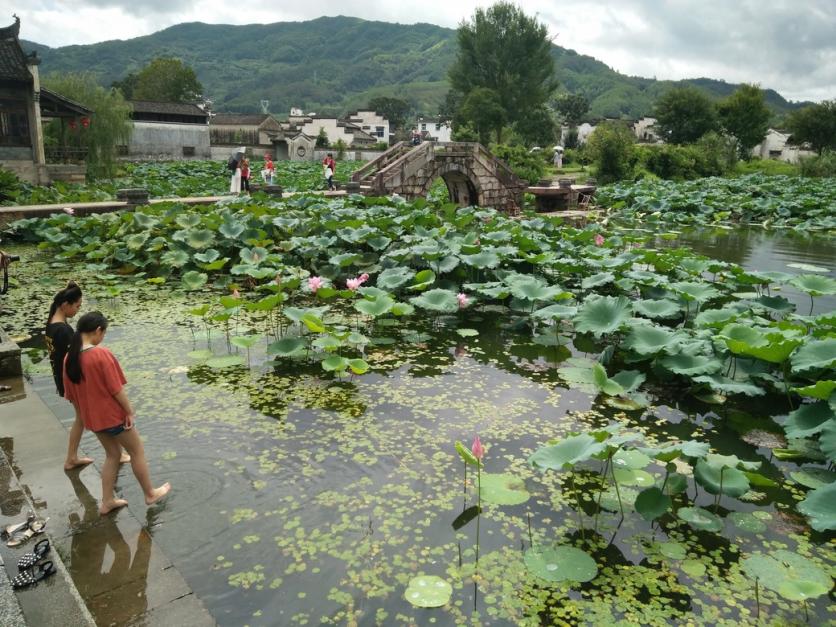 黃山呈坎古鎮(zhèn)門票價格多少錢