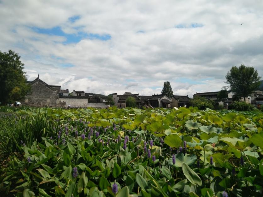 黃山呈坎古鎮(zhèn)門票價格多少錢