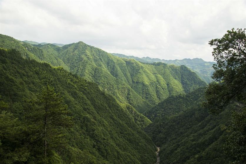 景寧有什么旅游景點 景寧自駕游攻略