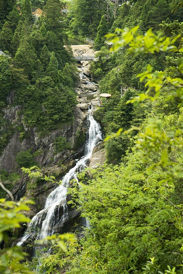 景寧有什么旅游景點 景寧自駕游攻略