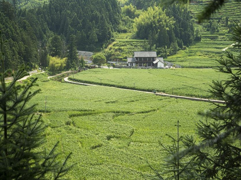 景宁有什么旅游景点 景宁自驾游攻略