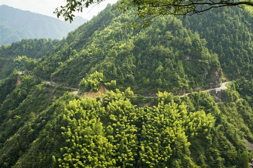 景寧有什么旅游景點 景寧自駕游攻略