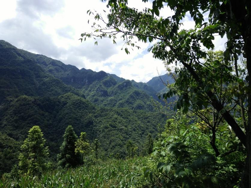 曹家坳中嶺鎮(zhèn)好玩嗎