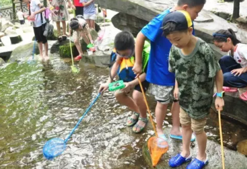 臨安市太湖源有哪些民宿  臨安市太湖源的民宿在哪里