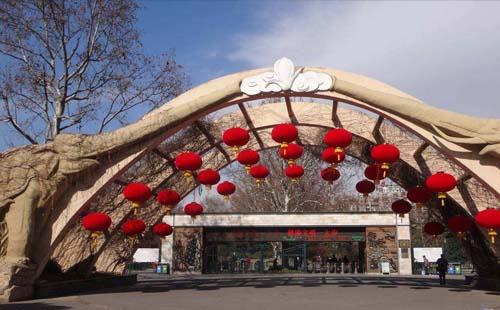 上海动物园门票价格是多少  上海动物园好玩吗