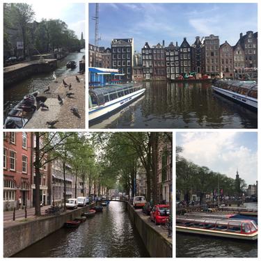 荷兰人为什么那么高 阿姆斯特丹两日游攻略