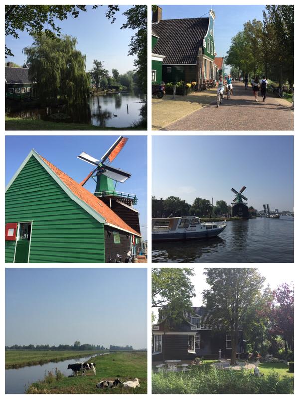 荷兰人为什么那么高 阿姆斯特丹两日游攻略
