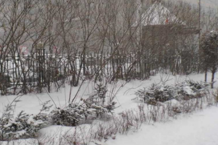 黑龙江首场降雪在哪里  漠河现在的气温是多少度
