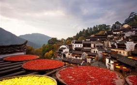 婺源篁岭门票多少  婺源篁岭旅游攻略