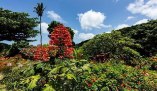 度蜜月去國外哪里好 度蜜月旅行地最佳排行榜