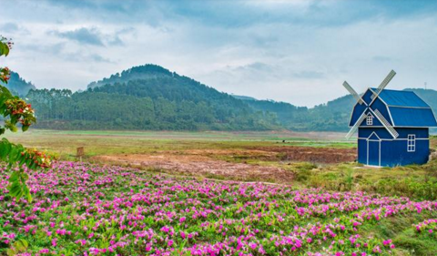 黃姚花海適合什么時候去  黃姚花海門票是多少