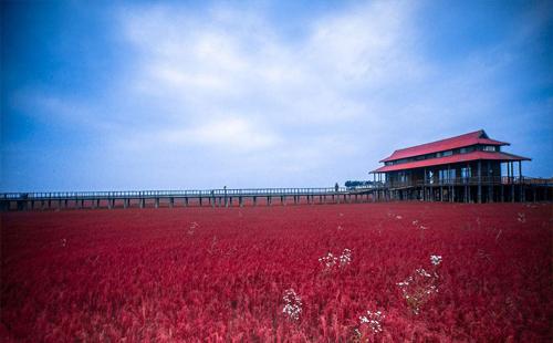 红海滩自驾游攻略 盘锦有什么旅游景点