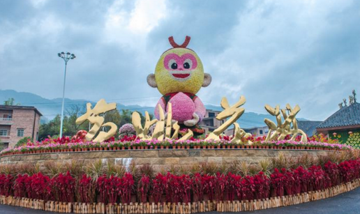 黃姚花海適合什么時候去  黃姚花海門票是多少