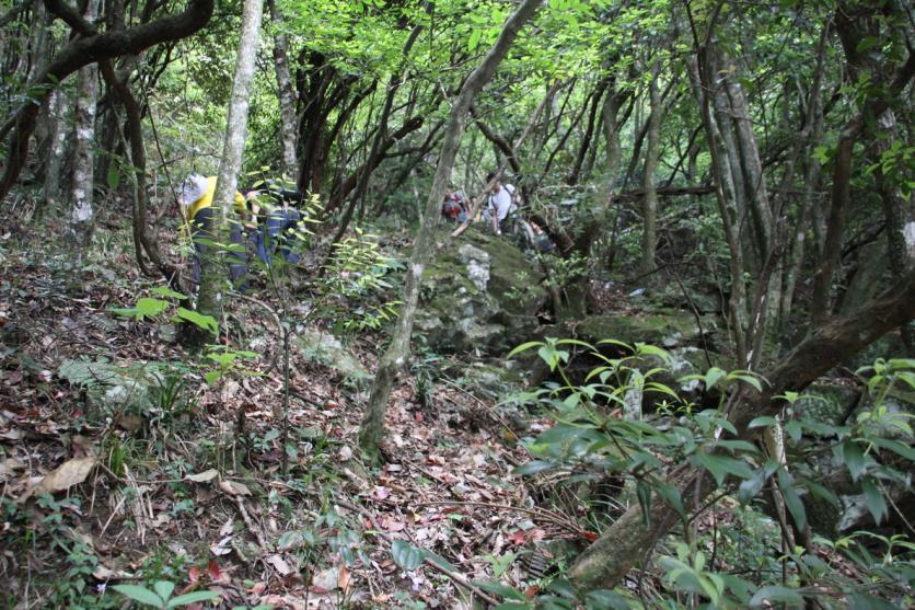 武功山自由行攻略 武功山門票免費(fèi)2017