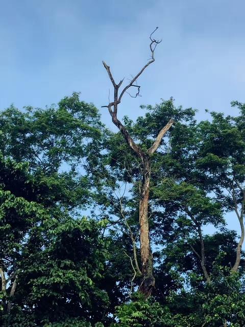 尼泊爾旅游安全嗎 尼泊爾最近旅游安全嗎