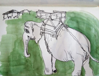 清迈旅行可以看见大象吗