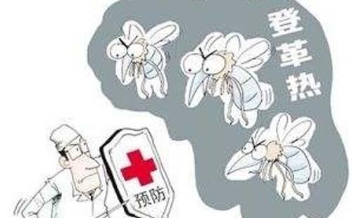 杭州市登革热疫情严重吗   登革热是因什么引起的